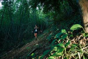 BIB: 
                            <button type="button" onclick="openModal(28123629)" class="btn btn-primary btn-sm float-right btn-popup" data-toggle="modal" data-target=".modal-high-quality">
                        <i class="fas fa-shopping-cart"></i> Add to Cart
                    </button>
                                            <button type="button" onclick="isThisMe(28123629, true)" class="btn btn-success btn-sm float-right btn-popup btn-isme hidden" data-toggle="tooltip" data-placement="bottom" title="นี่คือรูปของคุณใช่ไหม คลิกที่นี่เพื่อเอาเข้าอัลบั้ม">
                        <i class="fas fa-plus"></i> Add to album
                    </button>
                    <button type="button" onclick="isThisMe(28123629, false)" class="btn btn-warning btn-sm float-right btn-popup btn-isnotme hidden">
                        <i class="fas fa-ban"></i> Remove from album
                    </button>